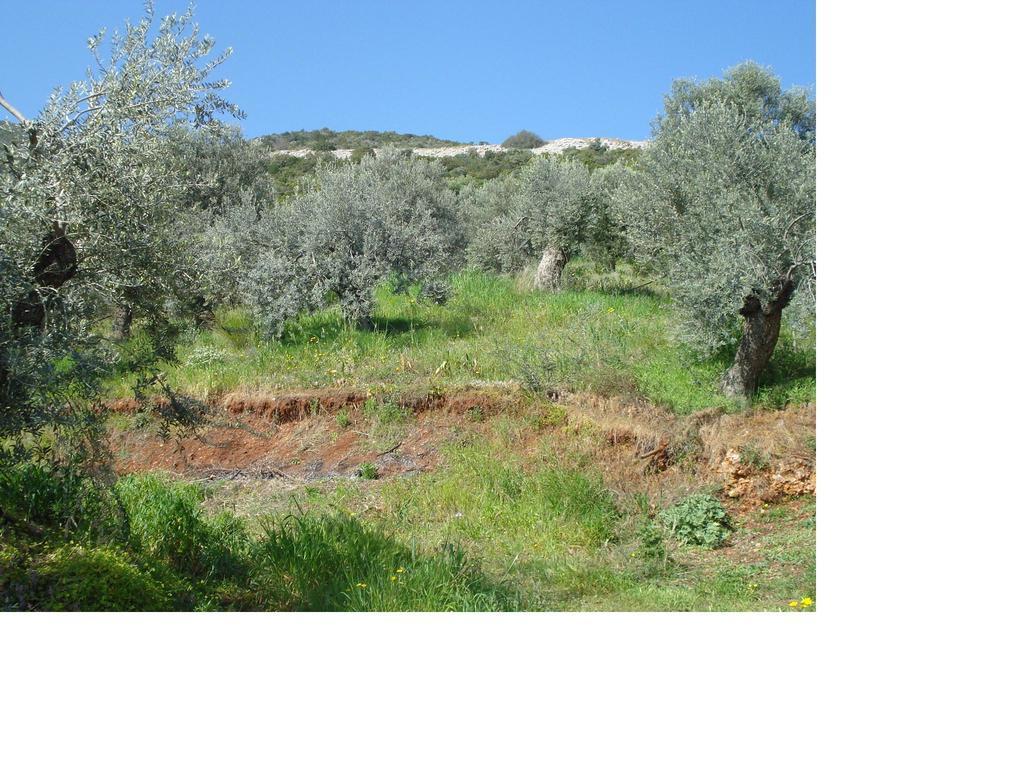 شقة Athina Ecofarm Epidaurus المظهر الخارجي الصورة