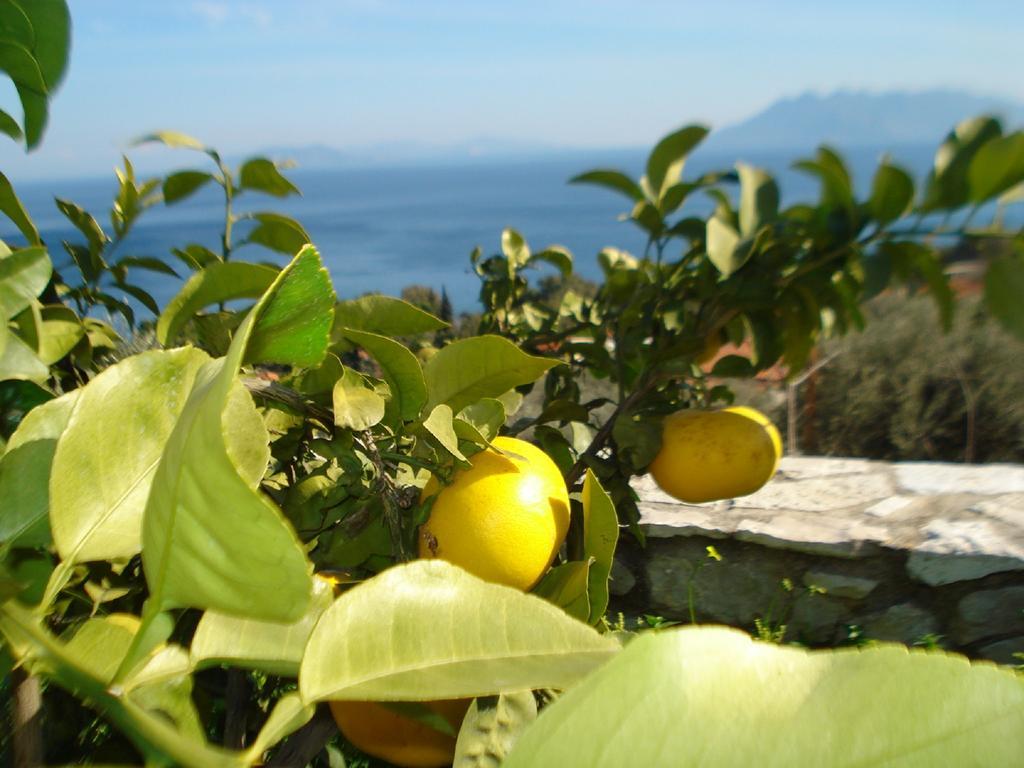 شقة Athina Ecofarm Epidaurus المظهر الخارجي الصورة